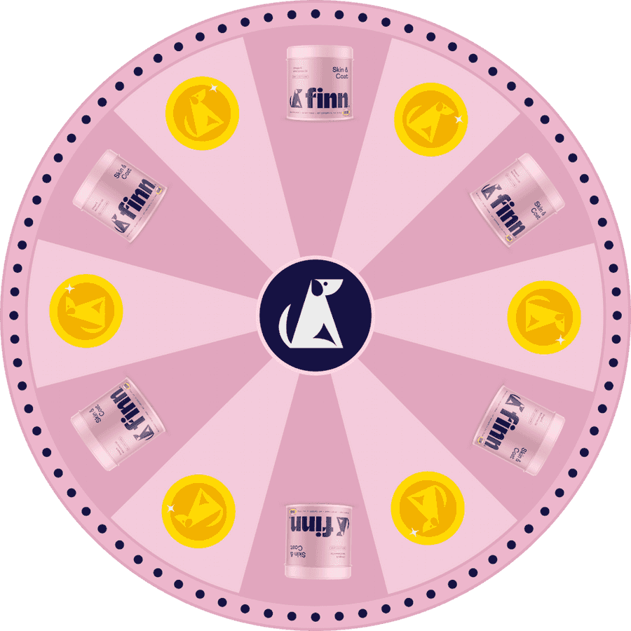 Spinning prize wheel