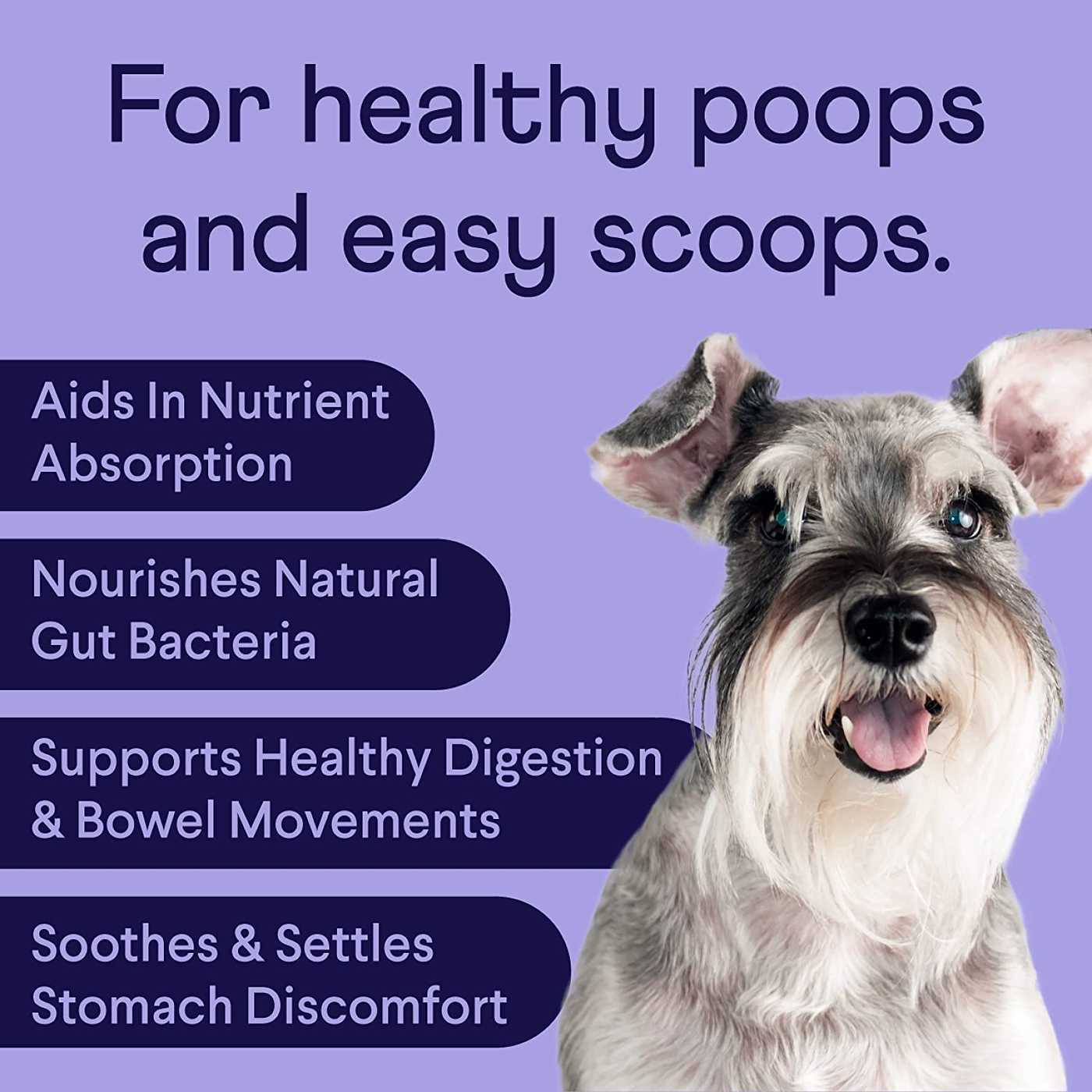 Do Probiotics Help Dogs With Loose Stools