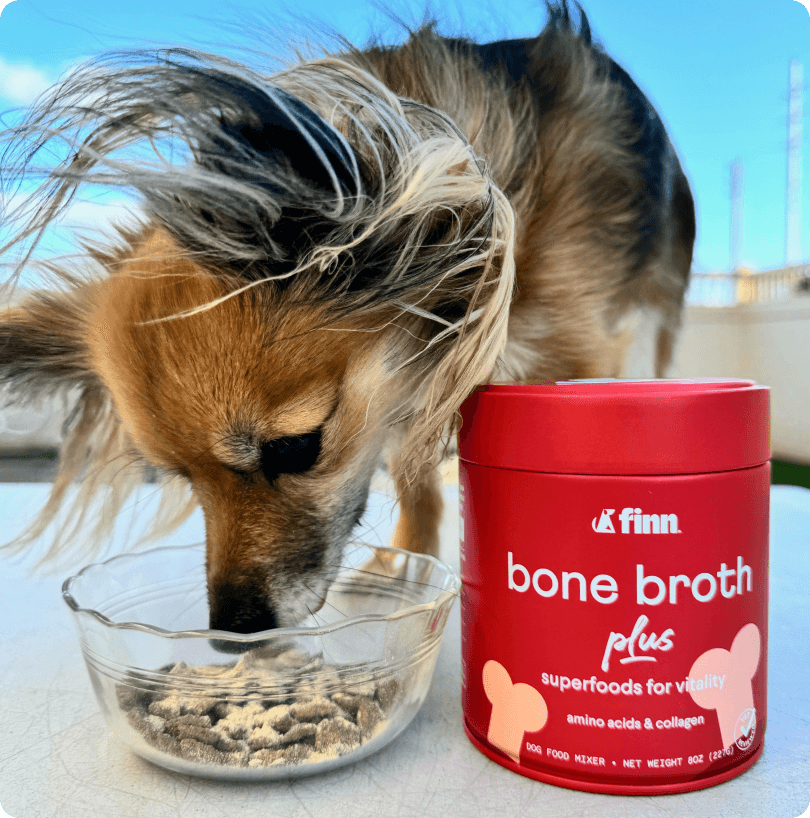 Bone Broth Plus Supplement For Dogs | Finn
