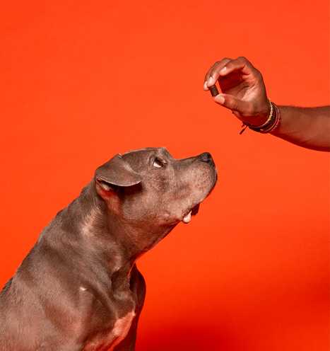 Hand holding supplements