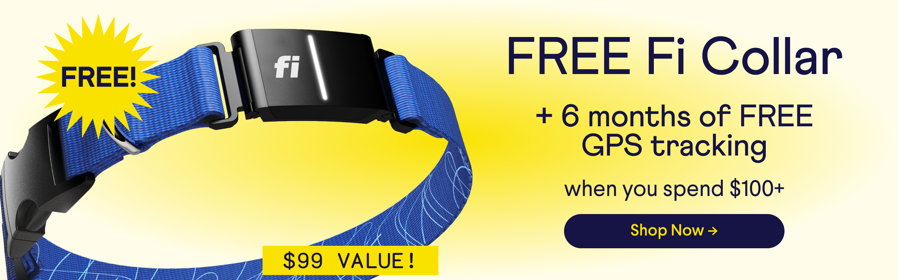 Free-Fi