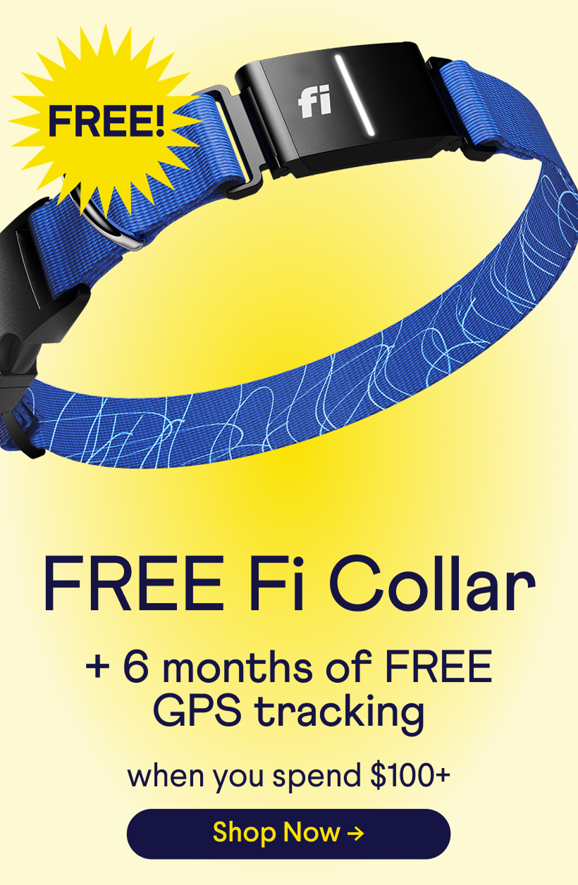 Free-Fi